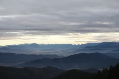 DSC_0098 (Large).JPG